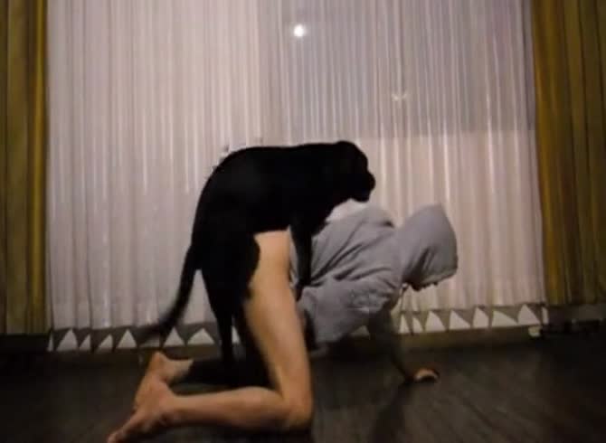 Video :Gay beastiality lover got banged from behind by dog